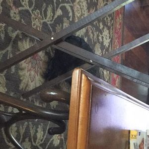 Meet your Posher, Jane